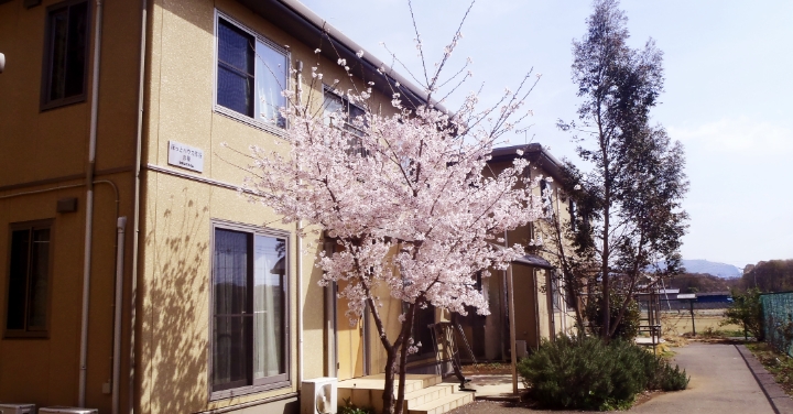 共同生活援助 ほっとハウスの建物は、茶色の外壁で２階建ての建物です。春になると桜が綺麗です。